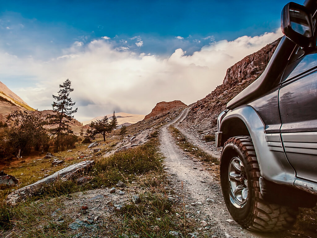 Bike Transportation Accessories Elite